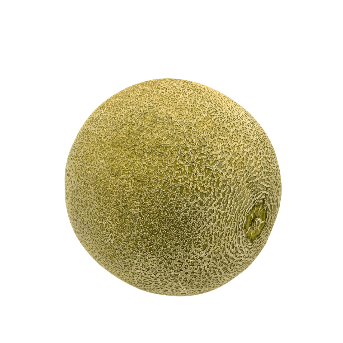 Cantaloupe,1.99LB,avg weight: 2.40lb, sold in singles