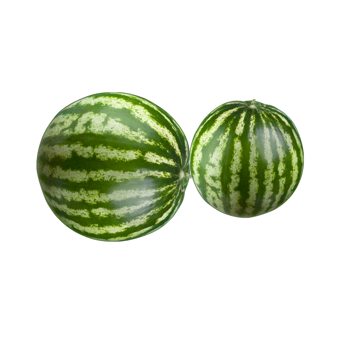 Mini Watermelons, sold in singles